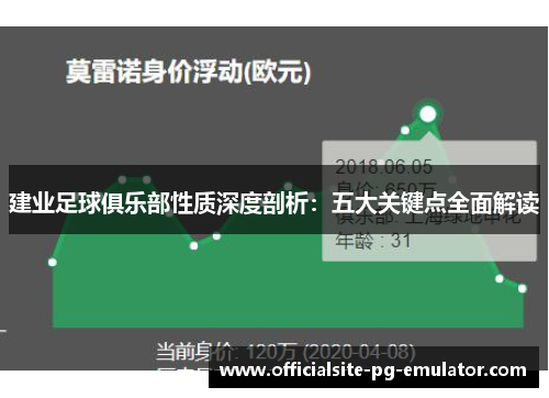 建业足球俱乐部性质深度剖析：五大关键点全面解读