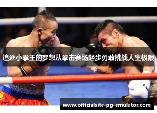 追逐小拳王的梦想从拳击赛场起步勇敢挑战人生极限