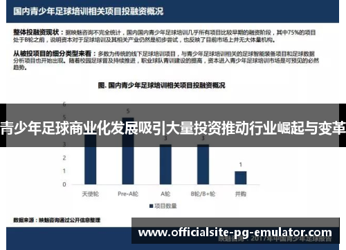青少年足球商业化发展吸引大量投资推动行业崛起与变革