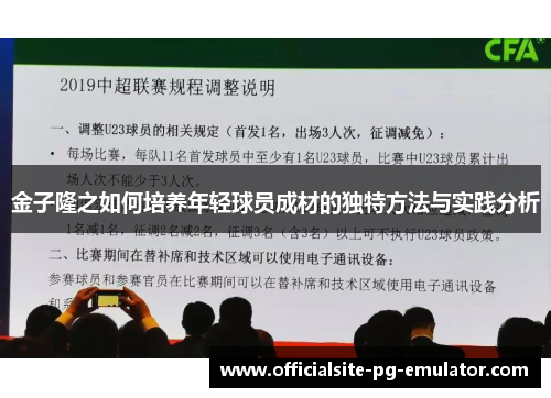 金子隆之如何培养年轻球员成材的独特方法与实践分析 金子隆之如何培养年轻球员成材的独特方法与实践分析