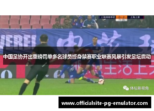 中国足协开出重磅罚单多名球员终身禁赛职业联赛风暴引发足坛震动