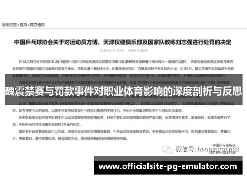 魏震禁赛与罚款事件对职业体育影响的深度剖析与反思