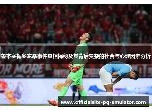 鲁本塞梅多家暴事件真相揭秘及其背后复杂的社会与心理因素分析