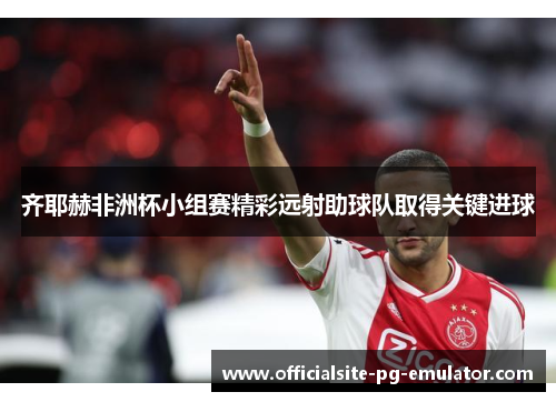 齐耶赫非洲杯小组赛精彩远射助球队取得关键进球